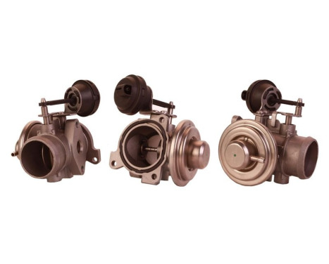 EGR-ventil 717710015 DRI