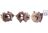 EGR-ventil 717710038 DRI