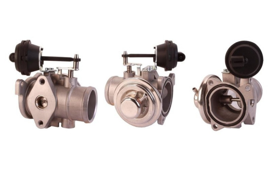 EGR-ventil 717710051 DRI