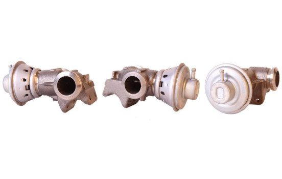 EGR-ventil 717710108 DRI