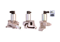 EGR-ventil 717720017 DRI