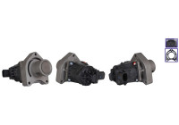EGR-ventil 717730319 DRI