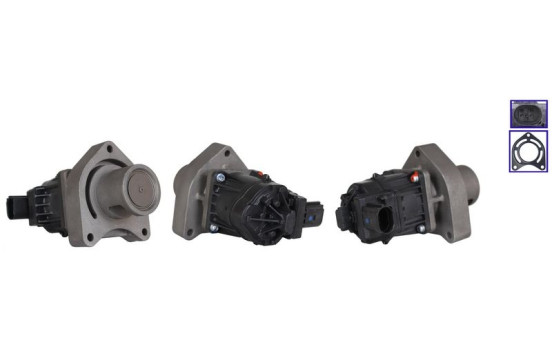 EGR-ventil 717730319 DRI