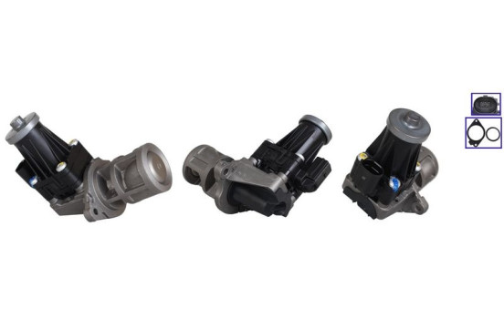 EGR-ventil 717730347 DRI