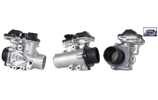 EGR-ventil 717730395 DRI