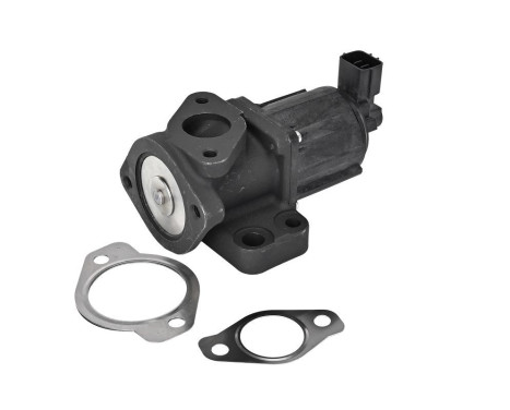 EGR-ventil EG10637-12B1 Delphi