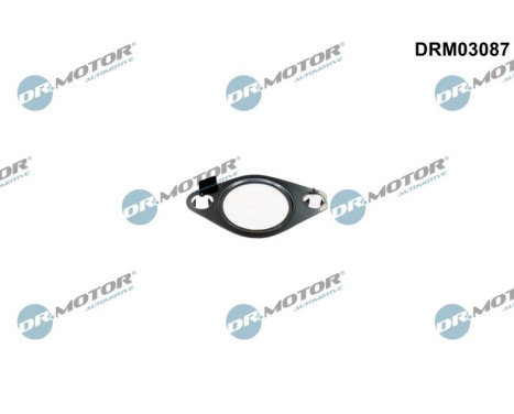 Packning, EGR-ventil