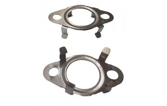 Packning, EGR-ventilledning 313.650 Elring