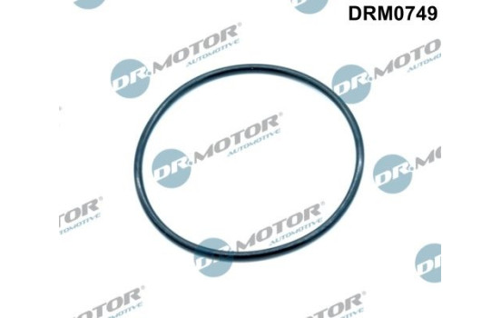 Tätning, EGR-ventil