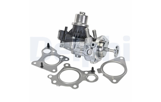 VANN EGR EG10762-12B1 Delphi