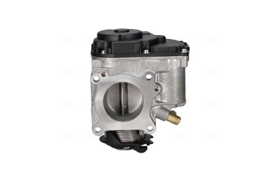 Gasspjällskropp, bild 2