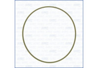 Packning, insugningsgrenrörshus