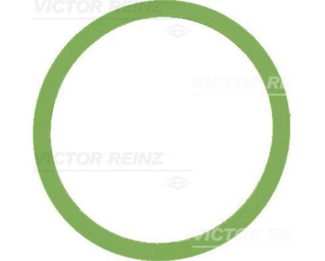 Packning, insugsgrenrör 41-77647-00 Viktor Reinz