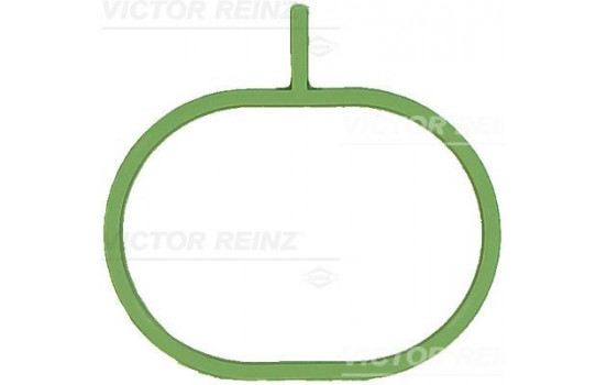 Packning, insugsgrenrör 71-17403-00 Viktor Reinz