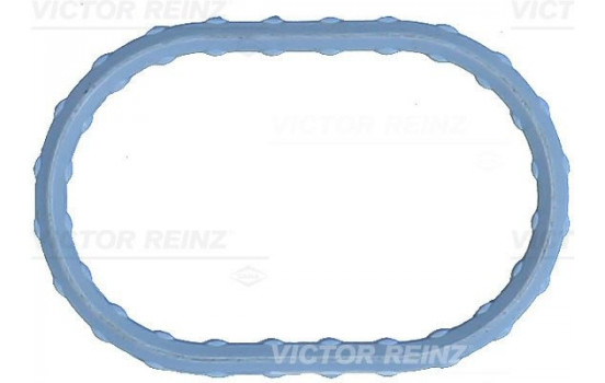 Packning, insugsgrenrör 71-17498-00 Viktor Reinz