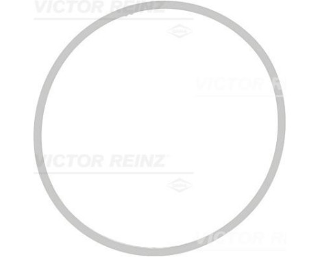 Packning, insugsgrenrör 71-39409-00 Viktor Reinz