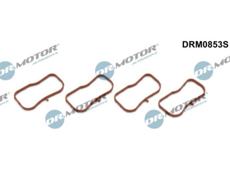 Packningssats, insugningsgrenrör