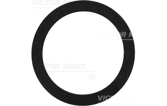Tätningsring 40-77392-00 Viktor Reinz