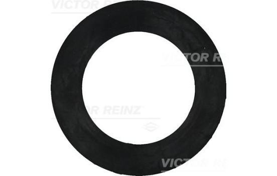 Tätningsring 40-77408-00 Viktor Reinz