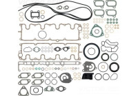 Komplett packningssats, motor 01-31579-04 Viktor Reinz
