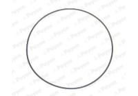 Packning, cylinderfoder LA5237 Payen