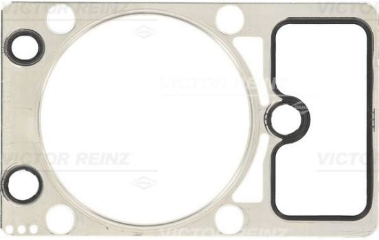 Packning, topplock 61-36485-20 Viktor Reinz