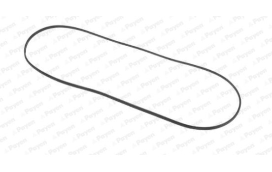 Packning, ventilkåpa JN707 Payen