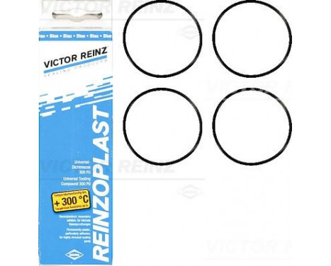 Packningssats, ventilkåpa 15-76741-01 Viktor Reinz