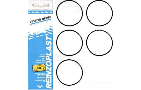 Packningssats, ventilkåpa 15-76741-02 Viktor Reinz