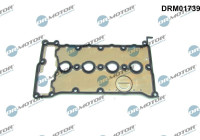 Ventilkåpa packning