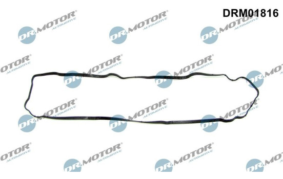 Ventilkåpa packning