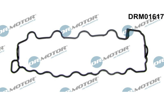 Ventilkåpa packning