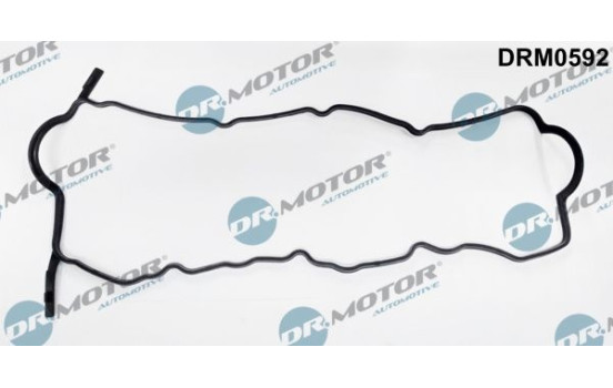 Ventilkåpa packning