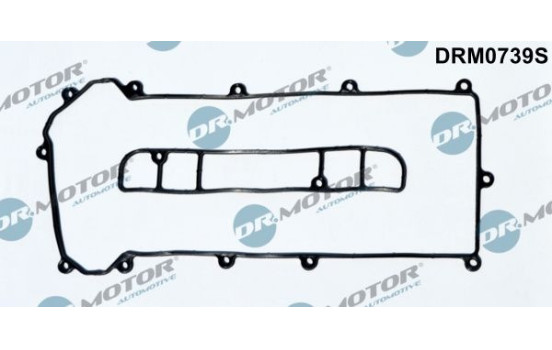 Ventilkåpa packning