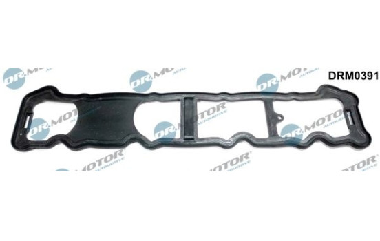 Ventilkåpa packning