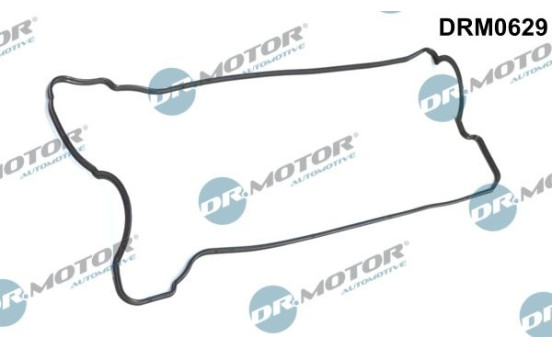 Ventilkåpa packning