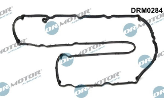 Ventilkåpa packning