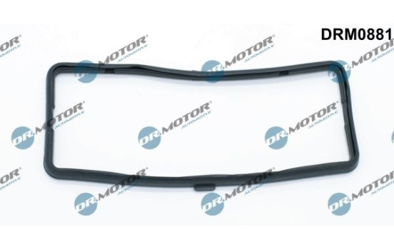 Ventilkåpa packning