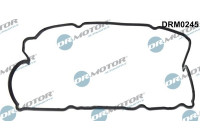 Ventilkåpa packning