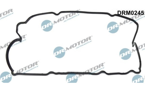 Ventilkåpa packning