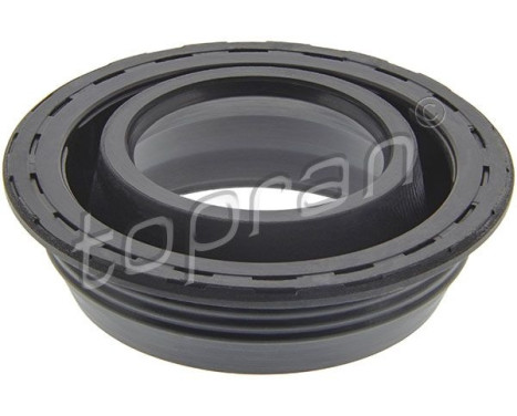 Ventilkåpa packning