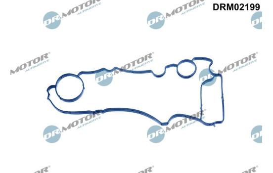Ventilkåpa packning