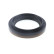 Oljepackning, differential