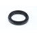 Oljepackning, differential, miniatyr 2