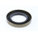 Oljepackning, differential, miniatyr 2