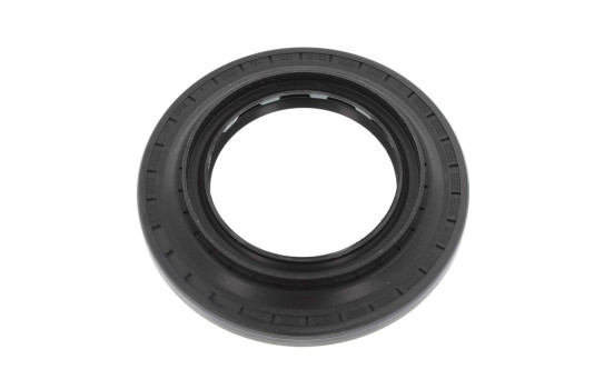 Oljepackning, differential, bild 3