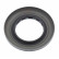 Oljepackning, differential, miniatyr 4