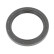 Oljepackning, differential, miniatyr 2