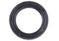 Oljetätningsring, differential NK117 Payen