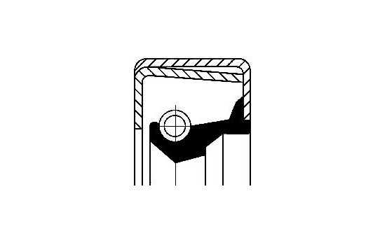 Oljetätningsring, differential